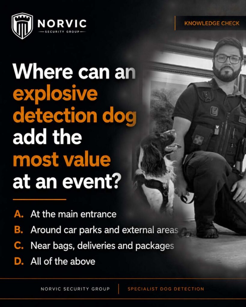 Dog detection post